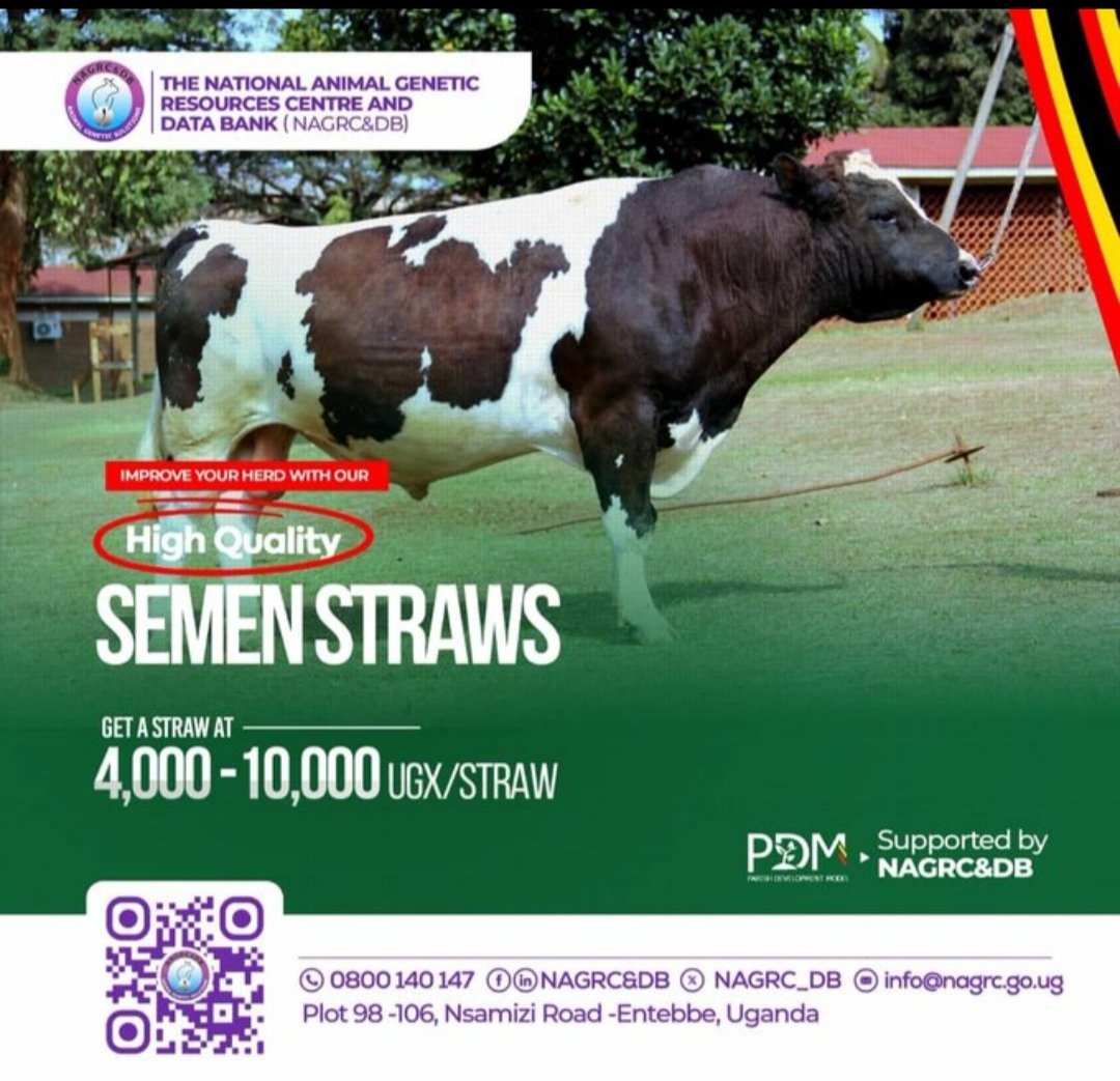 MAAIF_Uganda's tweet image. Animal breeding: Kickstart an animal enterprise, or improve your herd with reliable animal genetics from the National Animal Genetic Resources Center and DataBank (@NAGRC_DB).
📍Nsamizi Road, Entebbe
📞 Toll-Free: 0800140147
📧 info@nagrc.go.ug
@FrankTumwebazek
@PS_MAAIF