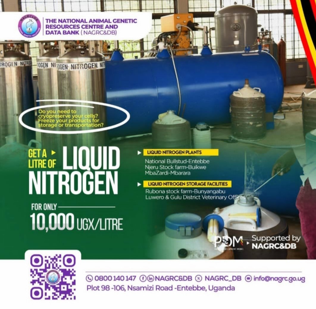 MAAIF_Uganda's tweet image. Animal breeding: Kickstart an animal enterprise, or improve your herd with reliable animal genetics from the National Animal Genetic Resources Center and DataBank (@NAGRC_DB).
📍Nsamizi Road, Entebbe
📞 Toll-Free: 0800140147
📧 info@nagrc.go.ug
@FrankTumwebazek
@PS_MAAIF