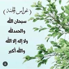 قال رسول  اللَّه ﷺ لَقِيتُ إبراهيمَ صَلّى اللهُ عليه وسَلَّم ليلة أُسْرِيَ بِي فقال يَا محمد أقرِيءْ أُمتك مِنِّي السَّلام، وأَخبرهم أن الجنة طيبة التربة، عذْبةُ الماءِ، وأنها  قيعان  وأن غِرَاسَها: سبحان اللَّه، والحمْدُ للَّه، وَلاَ إلهَ إلاَّ اللَّه واللَّه أكْبر.
حديثٌ حسنٌ