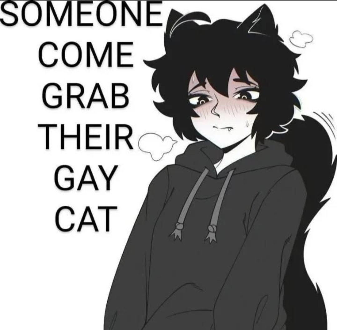 KitSSamy's tweet image. 