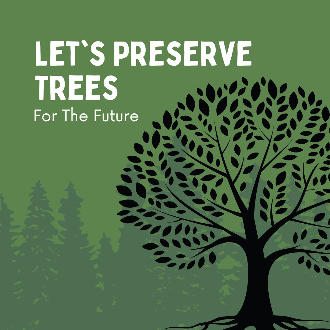 tree_doug's tweet image. Trees are tomorrow’s legacy. 🌲 Healthy trees = a healthier planet. 🌎 Visit your local forest . #PreserveTheFuture