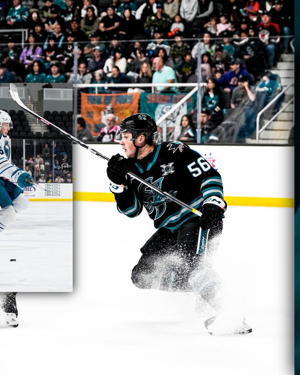 sjbarracuda's tweet image. Cardsy on Cam📸