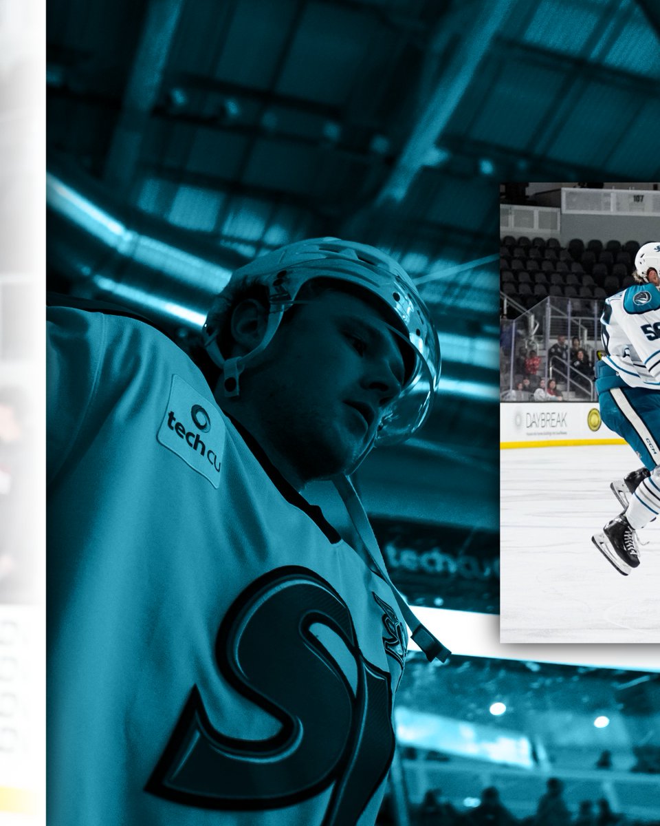 sjbarracuda's tweet image. Cardsy on Cam📸