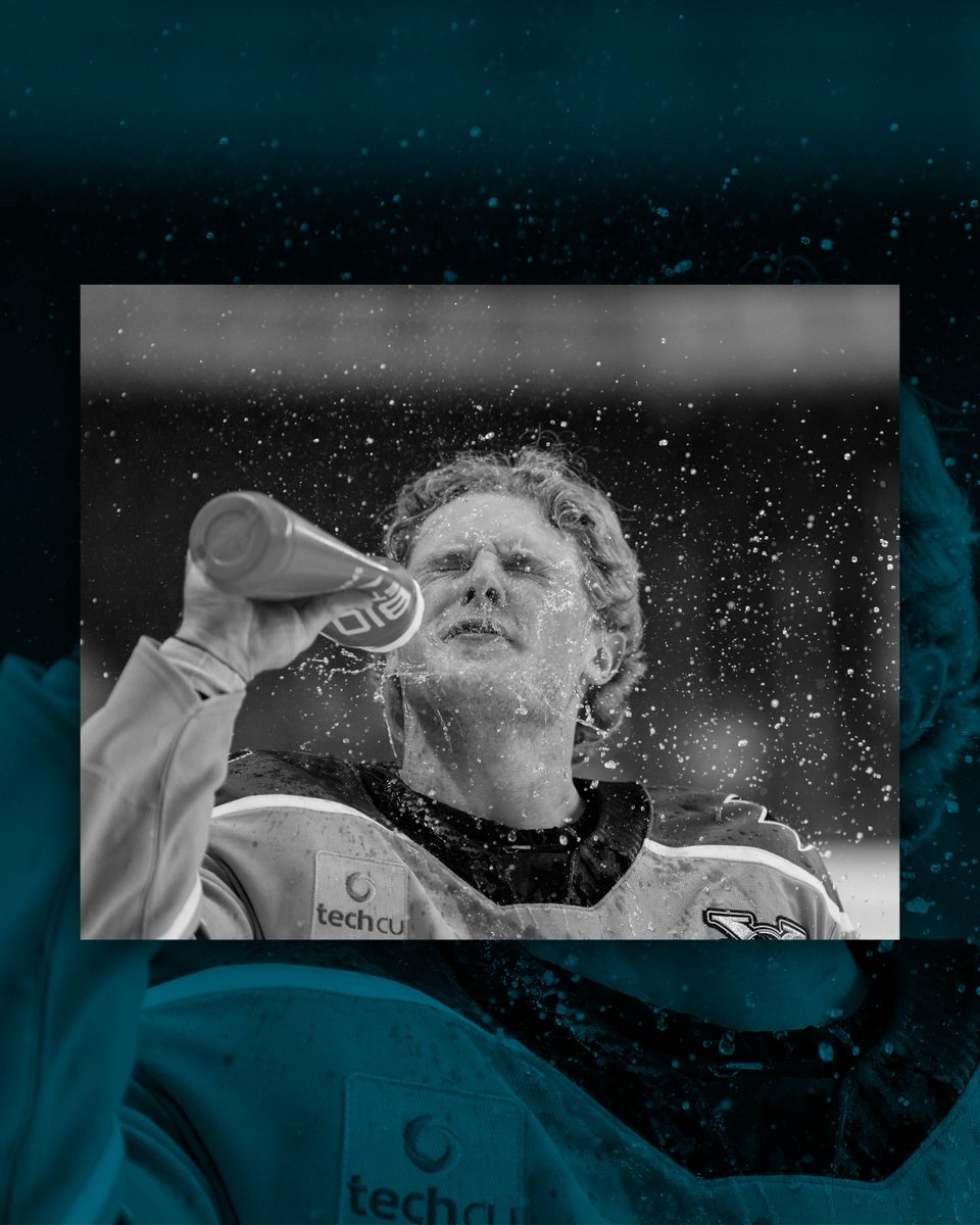 sjbarracuda's tweet image. Cardsy on Cam📸