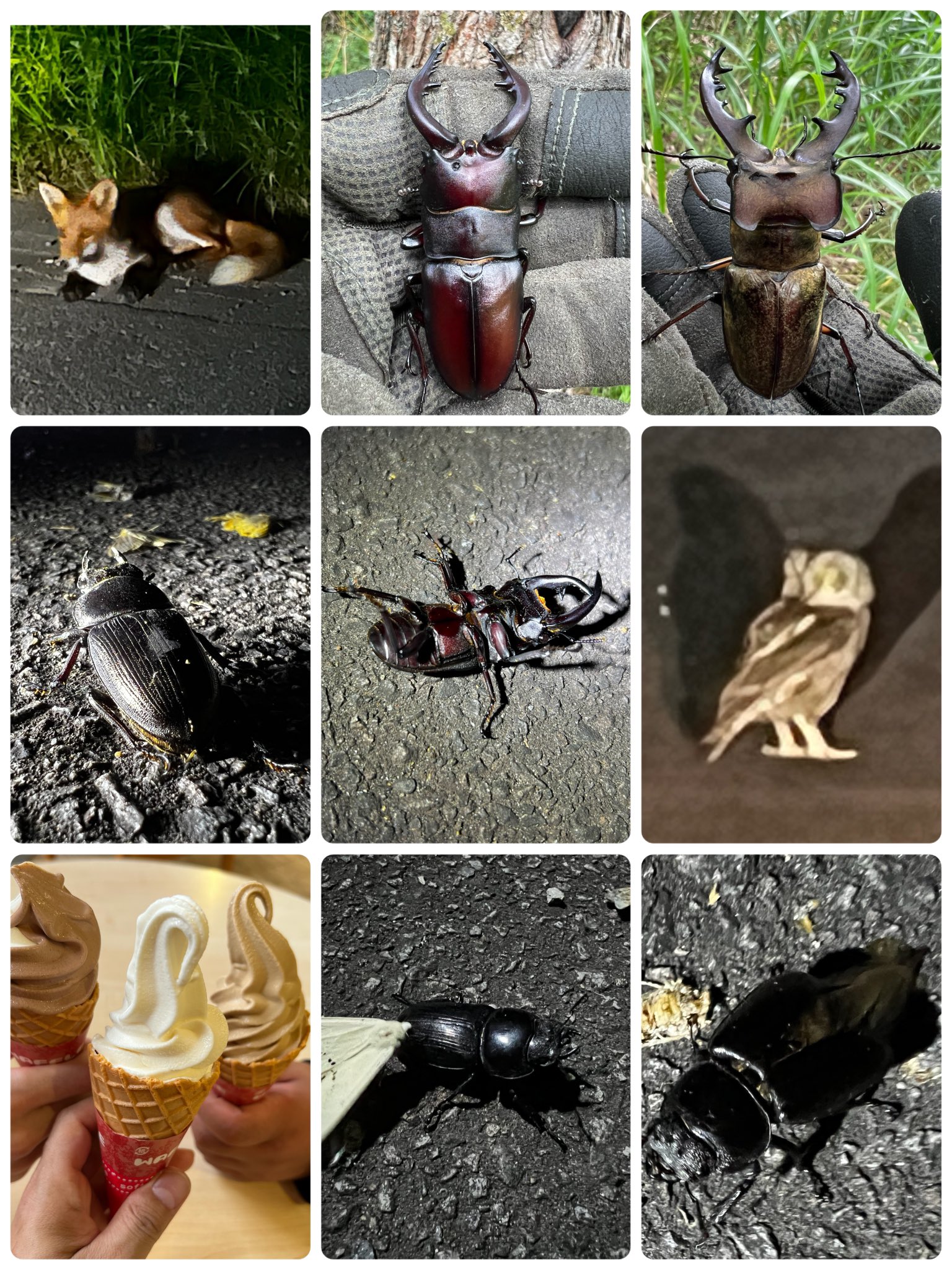 Posts with replies by ルーシー (@xpXtZeYHjguYua3) / X