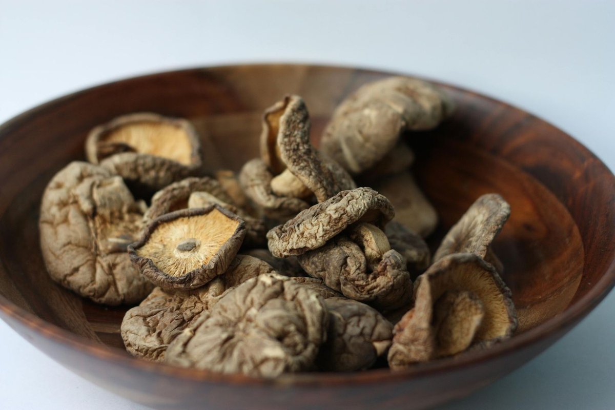 IndLiving's tweet image. Fungi for health and well-being. Learn more about it here - independentliving.co.uk/advice/fungi-a…