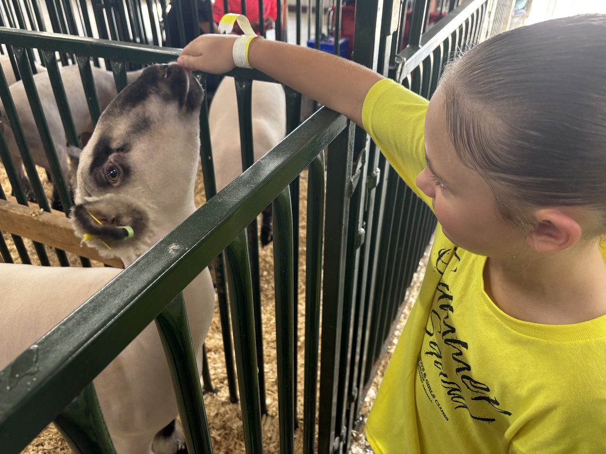 PortageLife's tweet image. Members of Portage&apos;s Boys &amp;amp; Girls Club had a blast at the @portercofair!🎡🎢 It really is the best time of the year! 

Photo credit: @BGCGreaterNWI