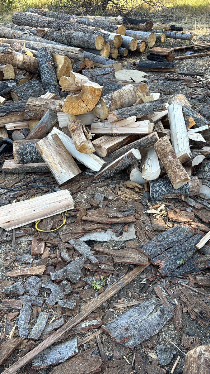 JoshHughes___'s tweet image. Nothing like cutting, splitting and stacking wood to get in good shape.