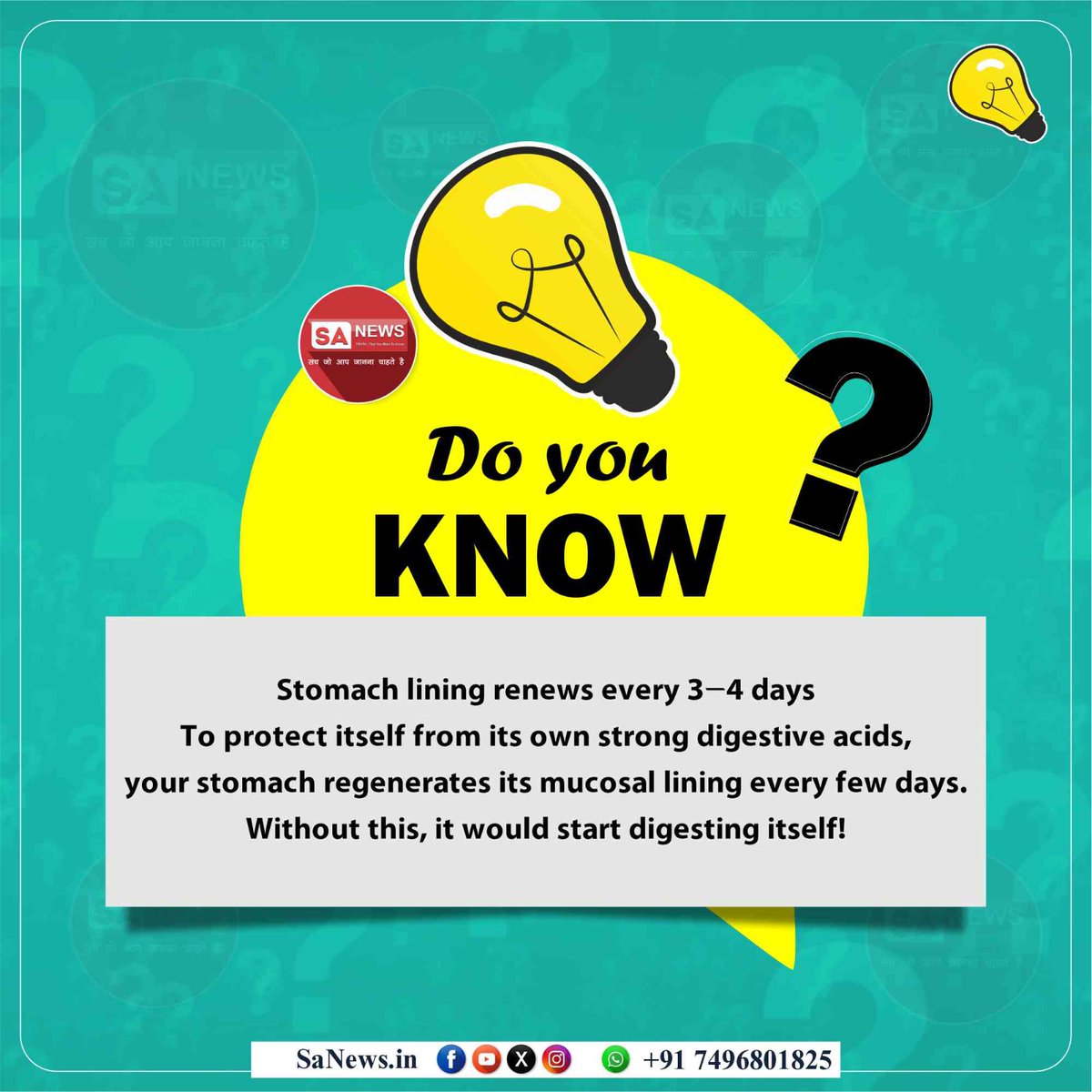 Do you know 

Stomach lining renews every 3–4 days

To protect itself from its own strong digestive acids, your stomach regenerates its mucosal lining every few days. Without this, it would start digesting itself!