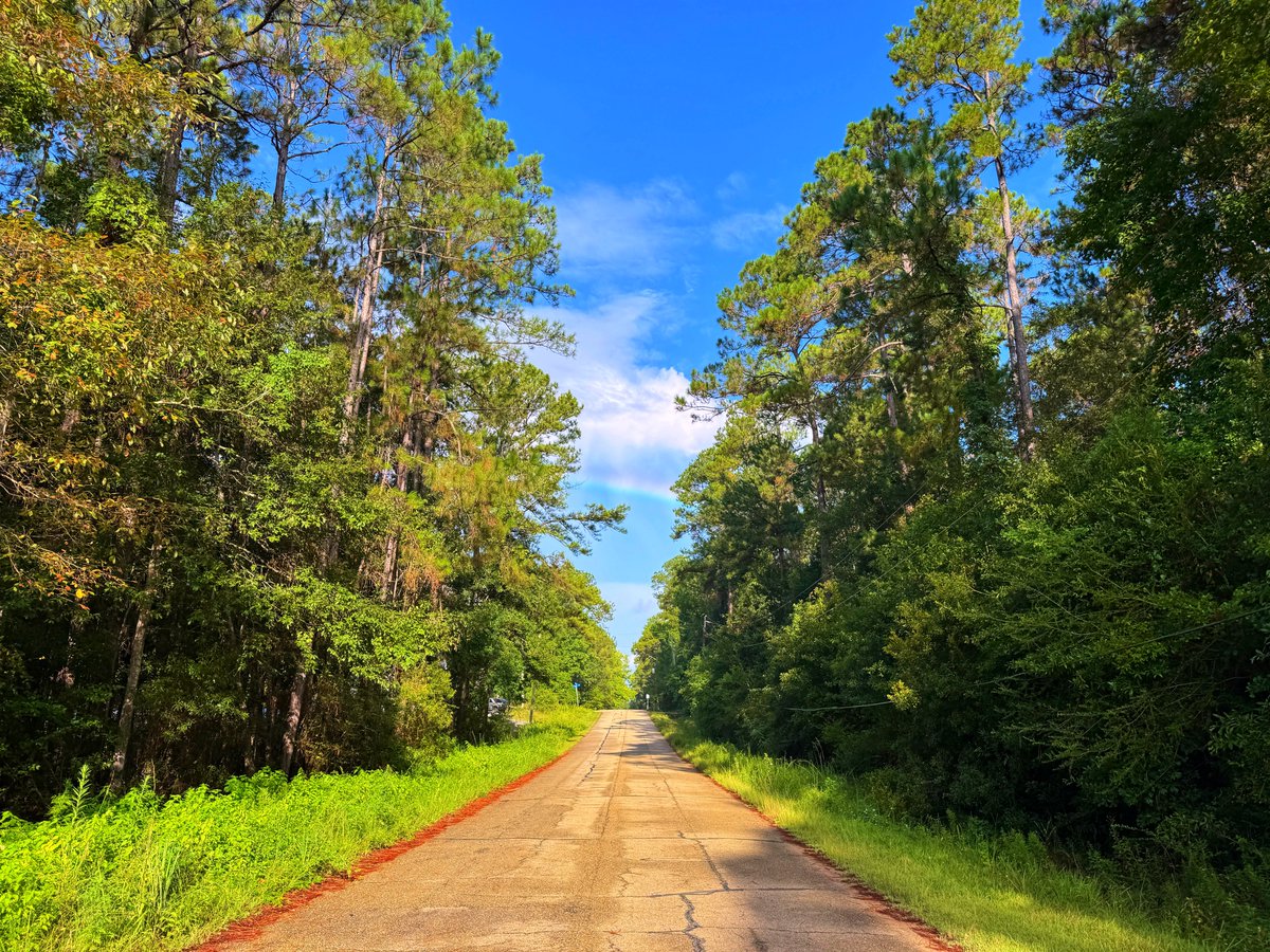 DavidMora's tweet image. Beautiful rainbow on the Northshore earlier today! 🌞🌿🌈🌳🦋 #lawx #visitthenorthshore