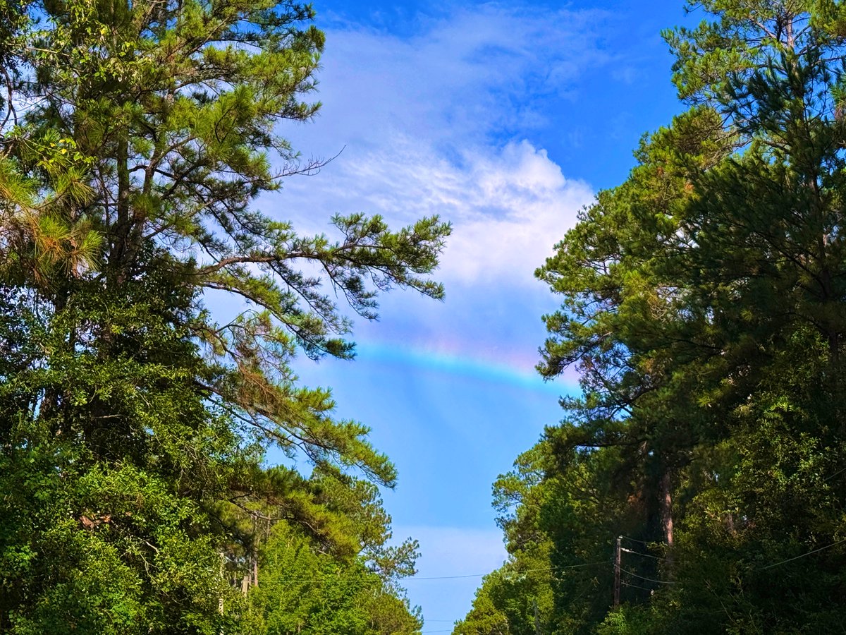 DavidMora's tweet image. Beautiful rainbow on the Northshore earlier today! 🌞🌿🌈🌳🦋 #lawx #visitthenorthshore