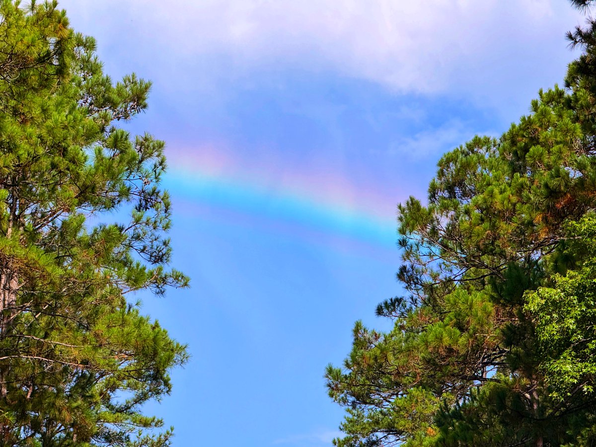 DavidMora's tweet image. Beautiful rainbow on the Northshore earlier today! 🌞🌿🌈🌳🦋 #lawx #visitthenorthshore