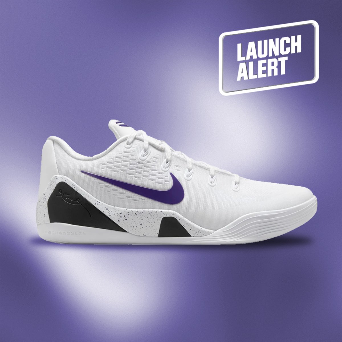 dickssportinggoods kobe