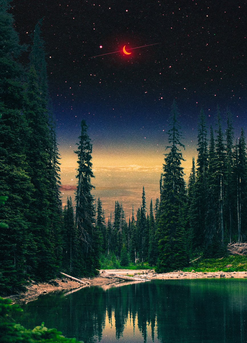 POSTWOOK's tweet image. my dreams look like this