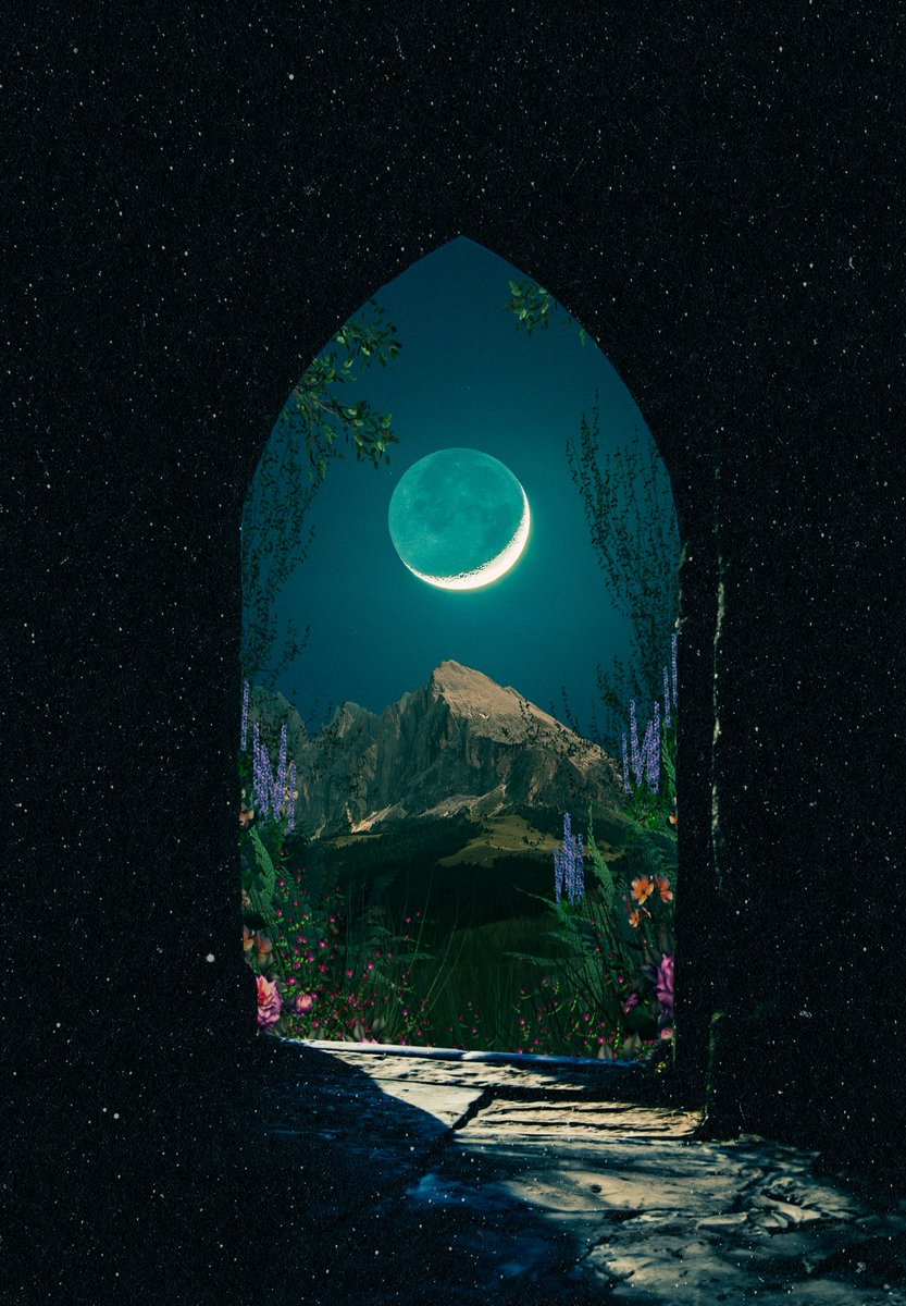 POSTWOOK's tweet image. my dreams look like this
