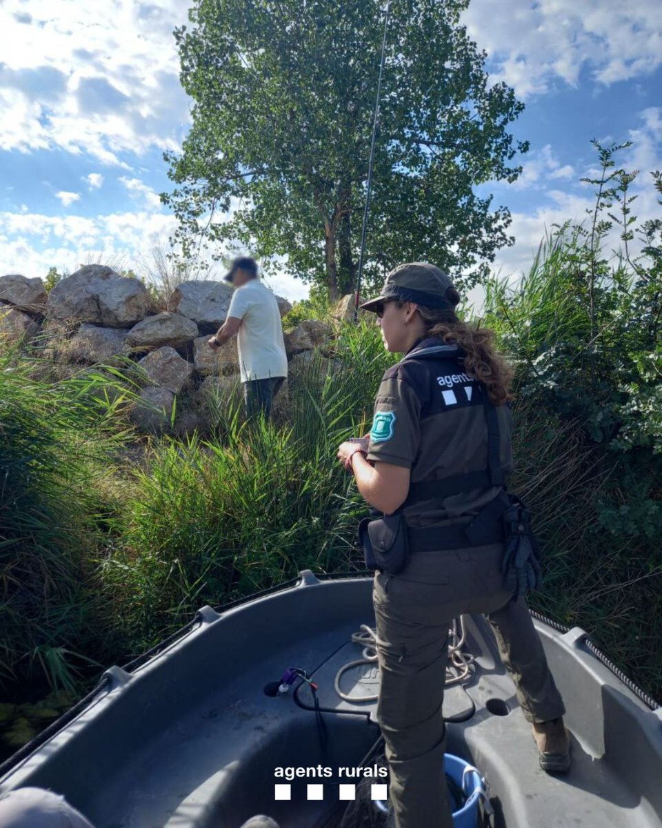 agentsruralscat's tweet image. 🚫🎣 Aquesta setmana, els #AgentsRurals hem denunciat dues persones al riu Fluvià: una per pescar sense llicència i en zona de refugi, i una altra per la captura de cranc blau en un refugi de fauna.
👮♂️ Servei conjunt amb inspectors de l’@aigua_cat (ACA).