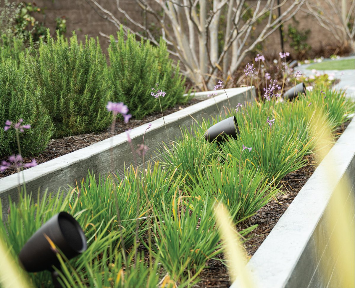 Backyard luxury, now with surround sound.

Custom One Landscaping is offering a complimentary Sonance outdoor system with $50K+ contracts.

We’ve partnered with Bravas to deliver outdoor audio done right.

l8r.it/JHSC | 651-661-4038
