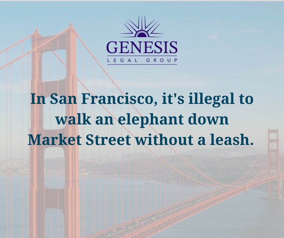 Circus in town or not, better keep that pachyderm tethered, no matter how strongly it’s pulling you towards a bag of peanuts! What’s the most unusual pet law you've heard of? 🐘🚶‍♂️