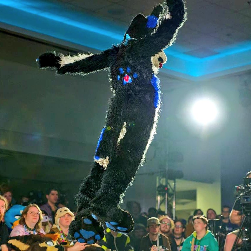 AuroraWusky69's tweet image. This wolf husky is really taking off to new levels
#fursuitdance #FursuitFriday