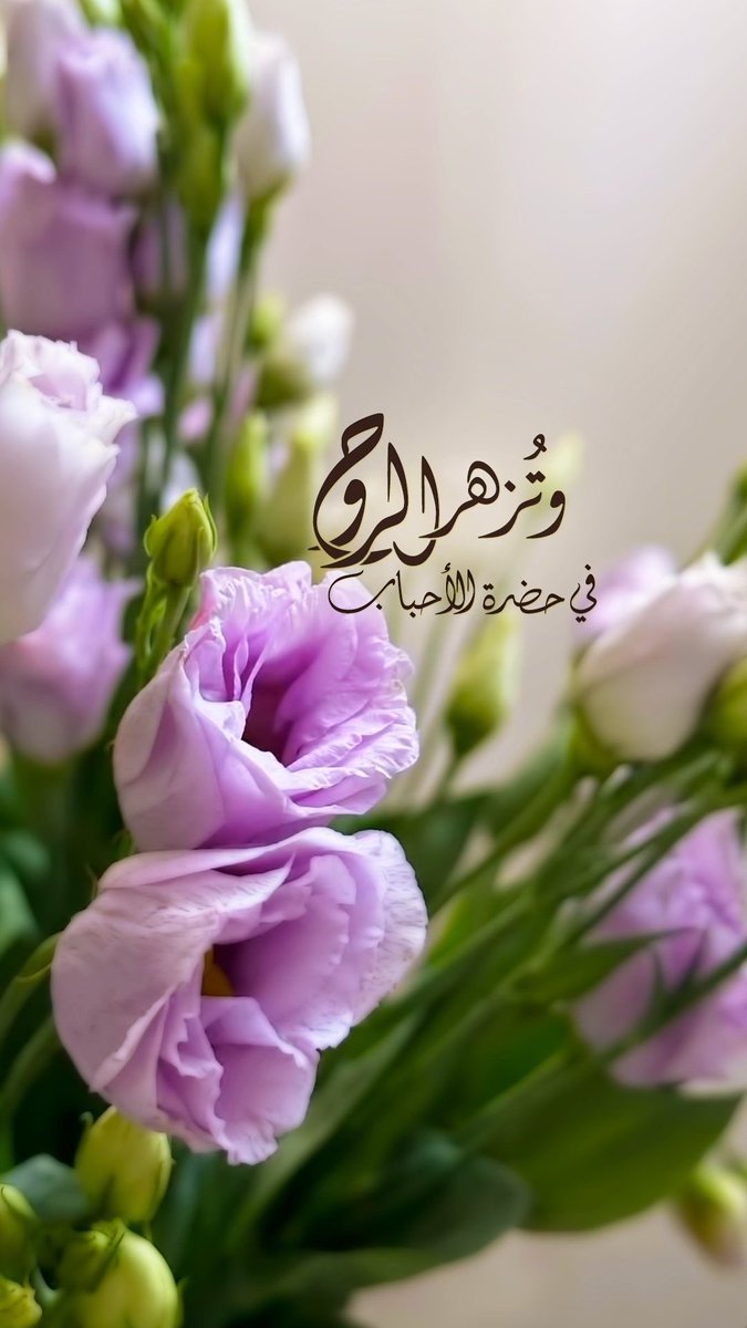 يحسبني لا وصلته بنتقم وأخذ بـ ثاري
وأنا ودي لا وصلته أحضنه وأخذه بيده.❤❤