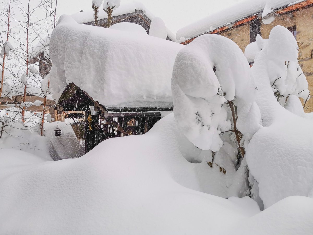 donTonio66's tweet image. È scientificamente dimostrato che se fissi un'immagine con tanta neve per almeno 120 minuti, la temperatura attorno a te si abbassa di ben mezzo grado. Prova! 😁