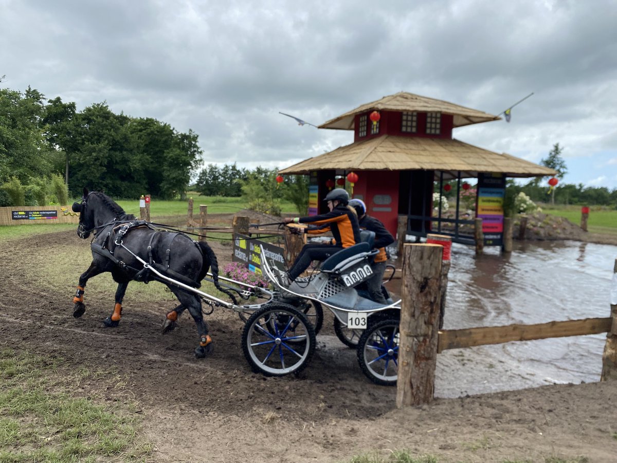 cdkfryslan's tweet photo. Op 'e nij nei #paardendagen #Driezum ~ #Wâlterswâld. Kom ik graach. Myn sport en noflike minsken yn de Wâlden. Hjoed ek mei boargemaster ⁦@anjahaga⁩ en steatenlid ⁦@attjemeekma⁩. ⁦@dantumadiel⁩ ⁦@provfryslan⁩ https://t.co/jLT7Qo39H5