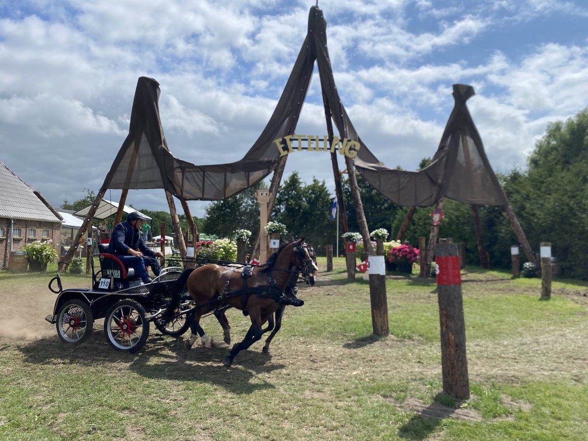 cdkfryslan's tweet photo. Op 'e nij nei #paardendagen #Driezum ~ #Wâlterswâld. Kom ik graach. Myn sport en noflike minsken yn de Wâlden. Hjoed ek mei boargemaster ⁦@anjahaga⁩ en steatenlid ⁦@attjemeekma⁩. ⁦@dantumadiel⁩ ⁦@provfryslan⁩ https://t.co/jLT7Qo39H5