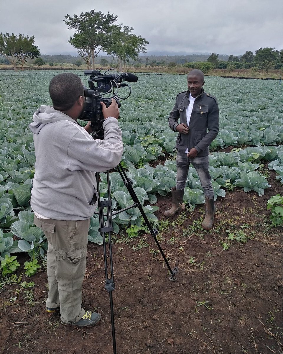Fredmunene_'s tweet image. Farming is Not Just About Chasing Money,It’s About Strategy.
Every time you start farming with money as the end goal, you miss the point.
Many farmers walk into farming asking, “Which crop pays best?” But that question alone reveals the problem. Farming is not about what pays…