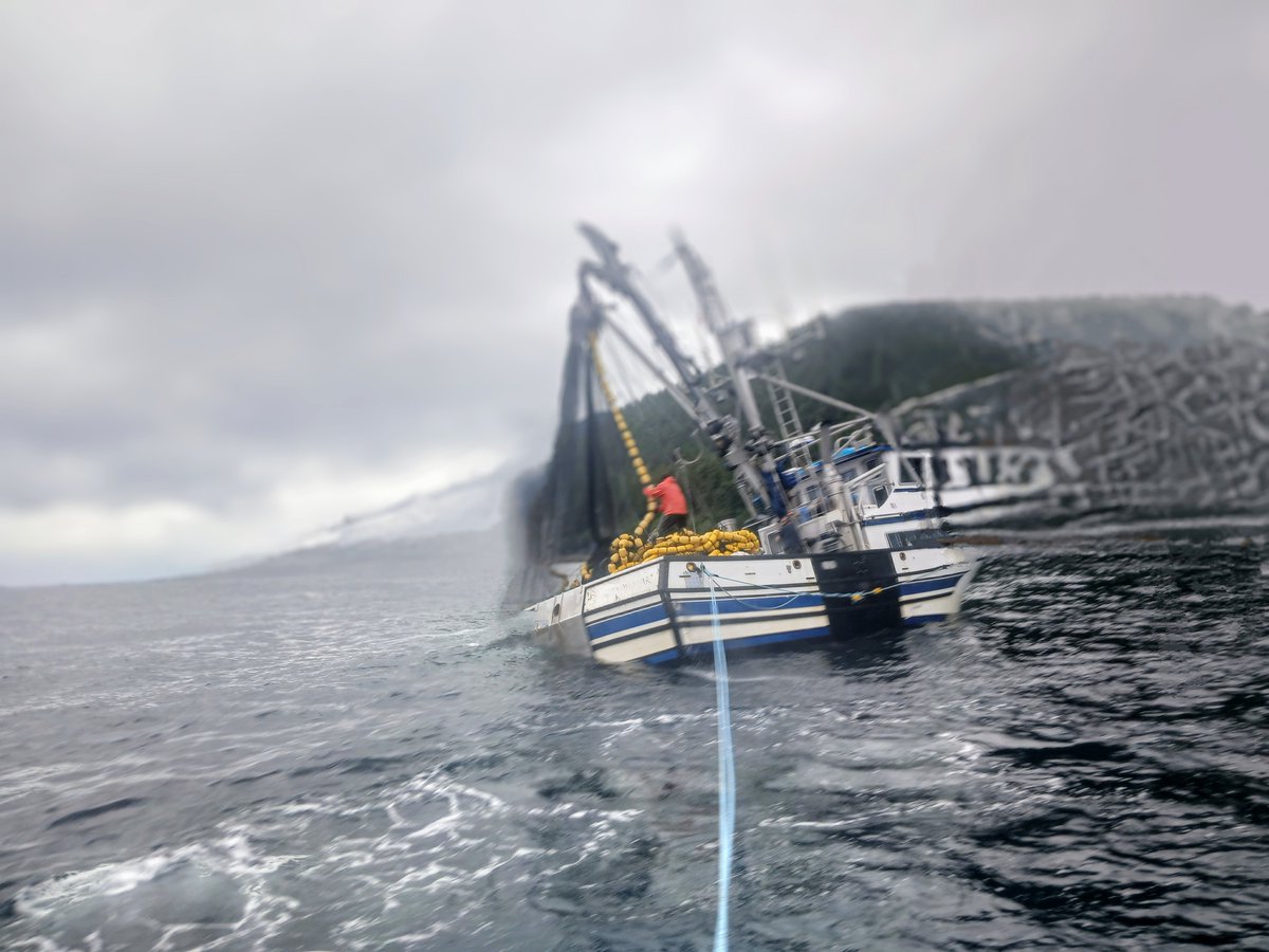 Jbn3ex's tweet image. Monster set. Nearly tipped the boat. I made 1500 dollars in 45 minutes. First set of the day. Nobody else here, nobody knows were here. Gonna be a good day (location poorly disguised with magic eraser tool)