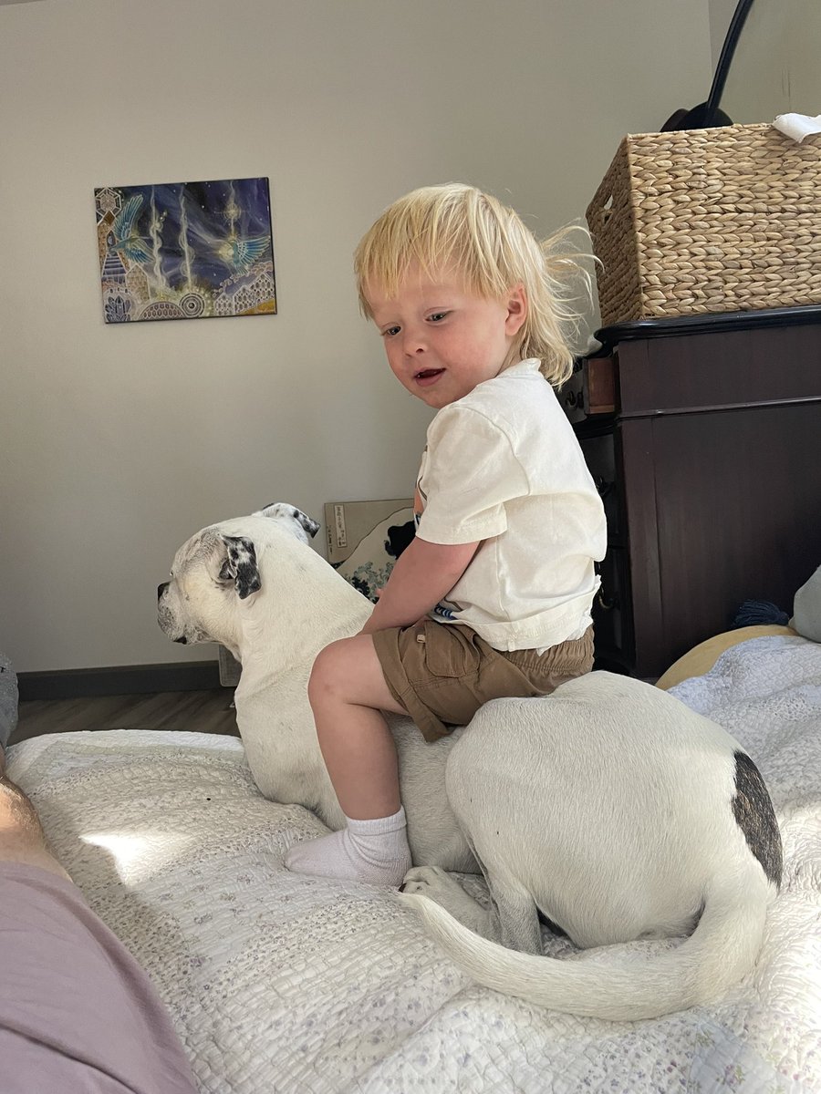 Misery_n_Gin's tweet image. One on the ground and a two year old in the saddle or whatever