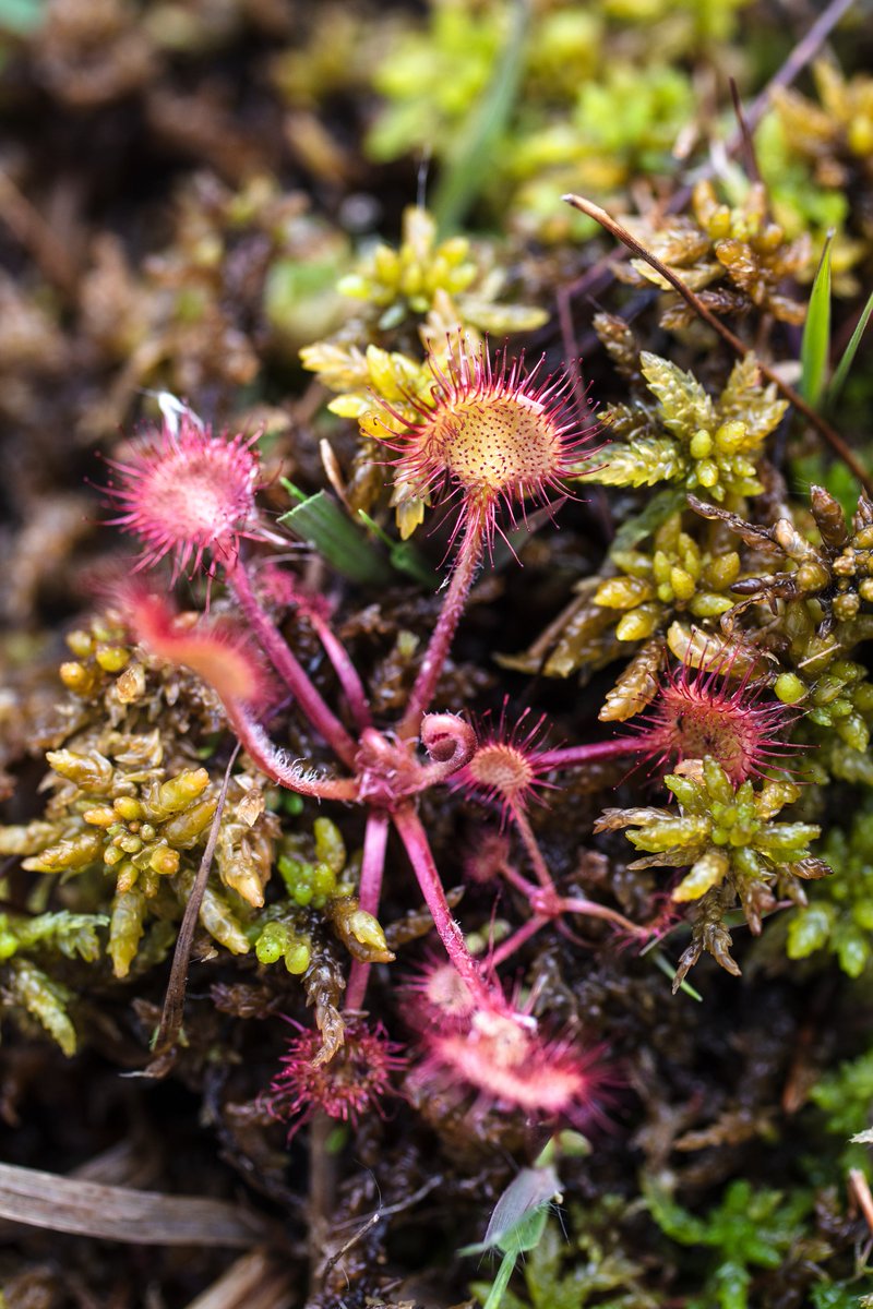 Dept of Agriculture, Food and the Marine tweet media