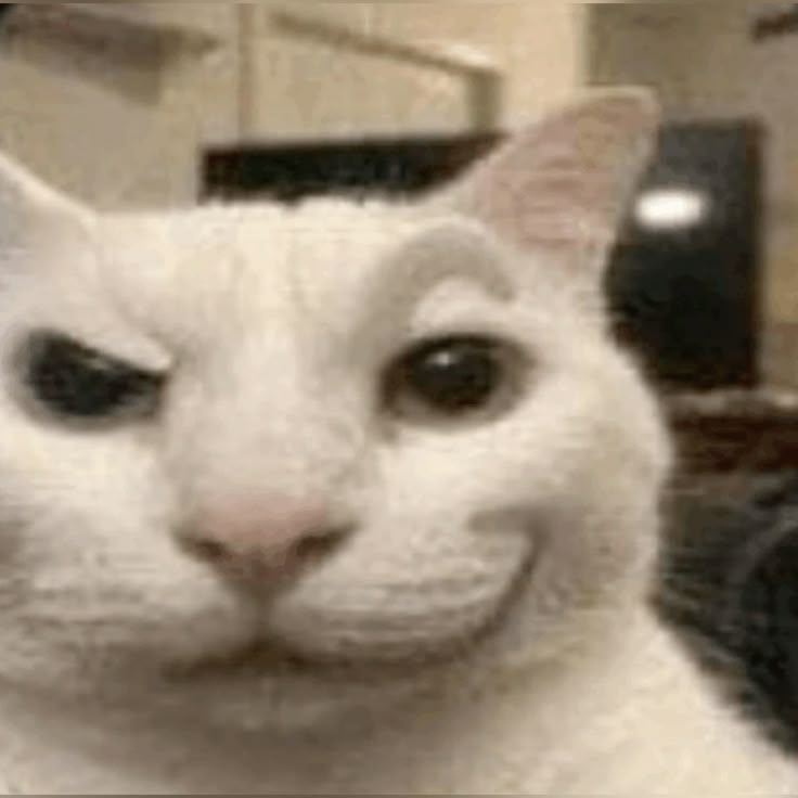 HayateFalsetto's tweet image. Me when i see a cute VTUBER and i follow him 😛
ANY CUTE VTUBER ONLINE ? 😛