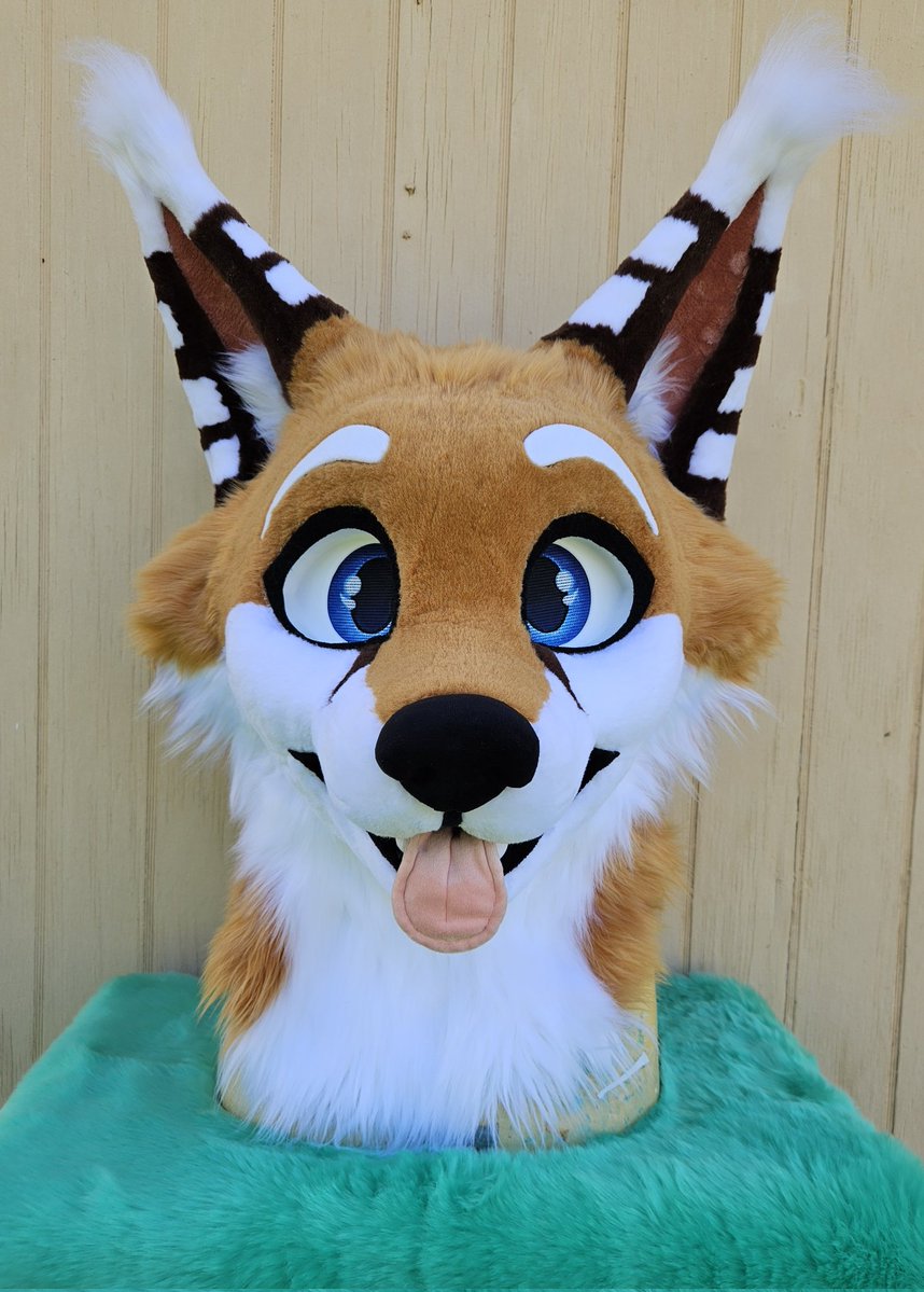 HollydaysInc's tweet image. FINALLY fully able to present @FoxWithRamen in all his glory! They have honestly been SUCH a wonderful and patient person throughout this journey, and after the crazy fwa rush I went over him with all my focus and care I could~
Base by @Breezyakita
#FursuitFriday #fursuit #fox