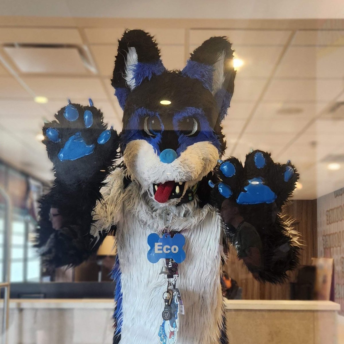 AuroraWusky69's tweet image. #NewProfilePic no window is safe from these paws