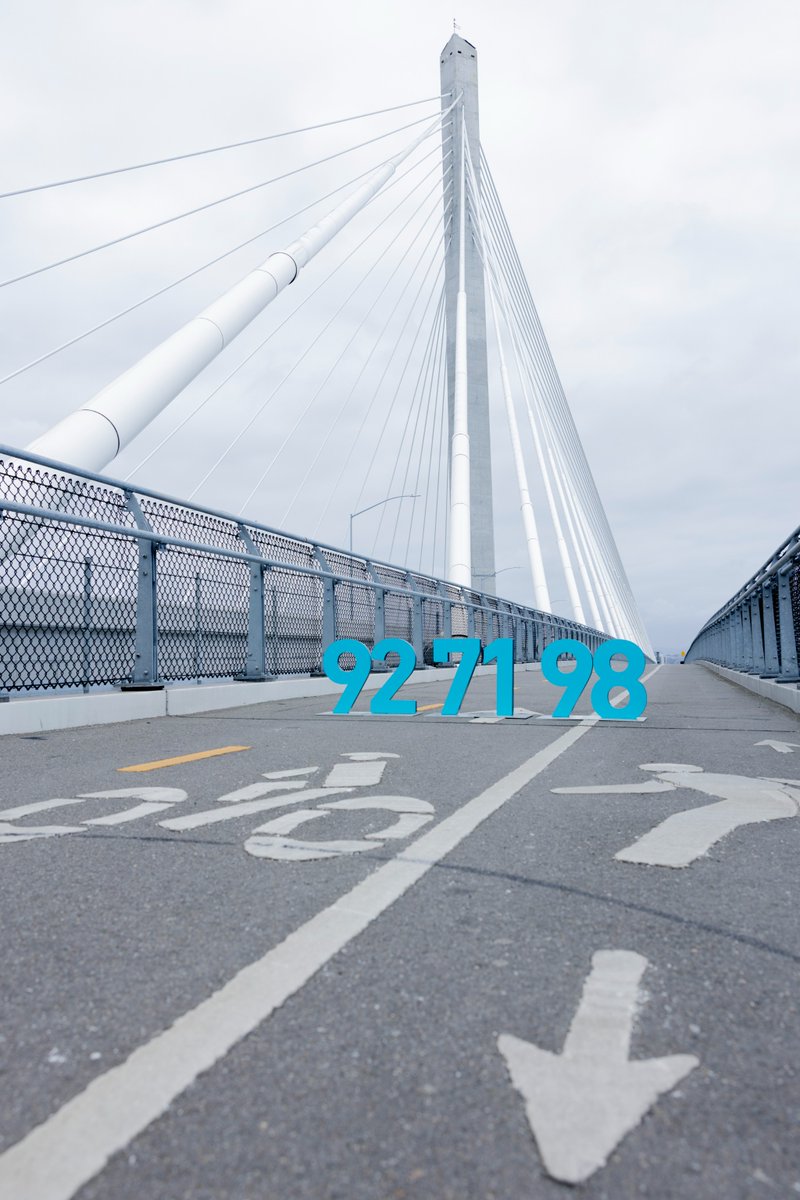 The view from the Mark Bixby Memorial Bike Path is the best in the harbor! 🌅 Since 2005, #POLB has cut diesel soot by 92%, nitrogen oxides by 71%, and sulfur oxides by 98%. We're aiming for zero-emission operations! ow.ly/YkBU50Wjoi8