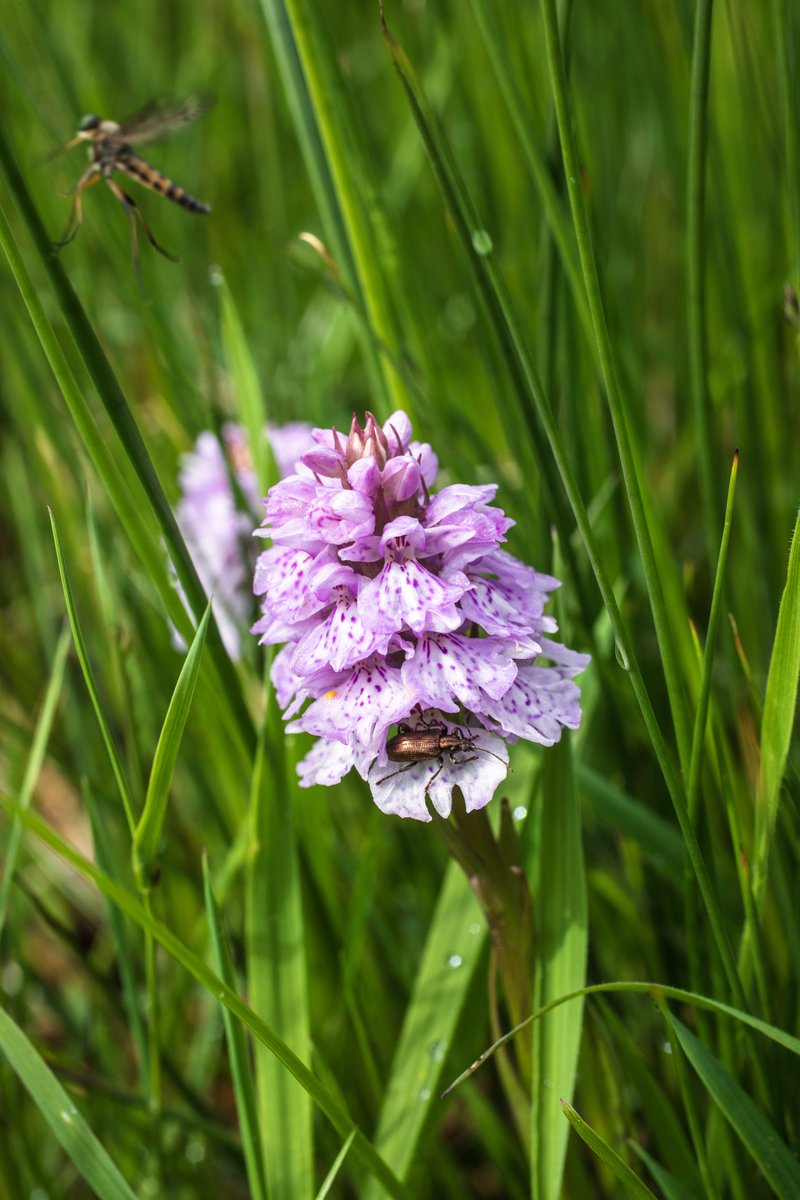 Dept of Agriculture, Food and the Marine tweet media