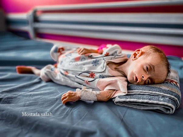 Sarah Wilkinson tweet media