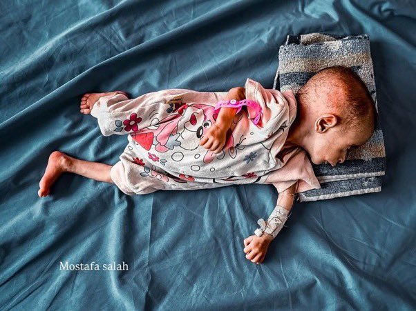 Sarah Wilkinson tweet media