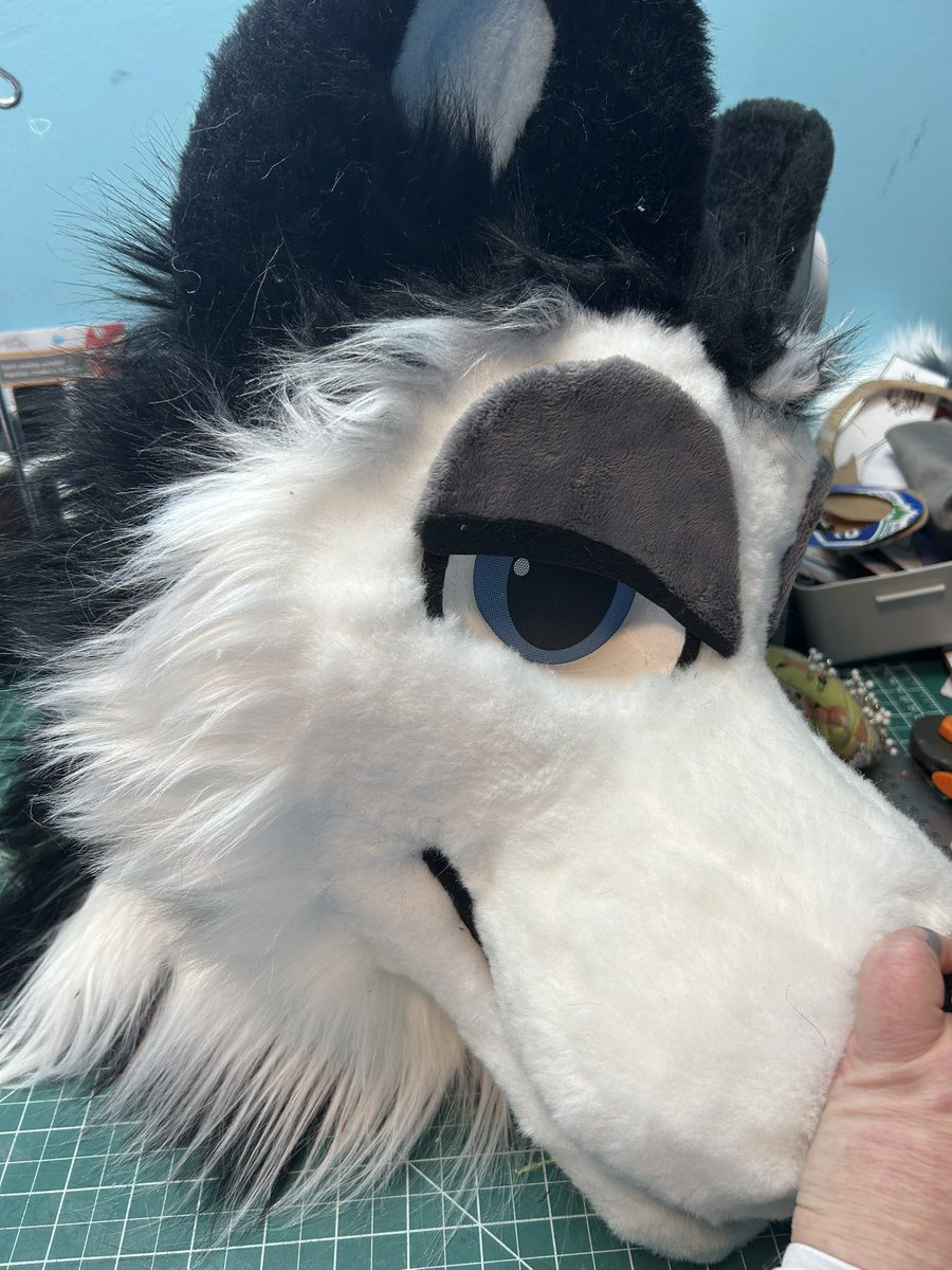 You see them give you this look , what do you do ?😻

Fursuit wip from the studio