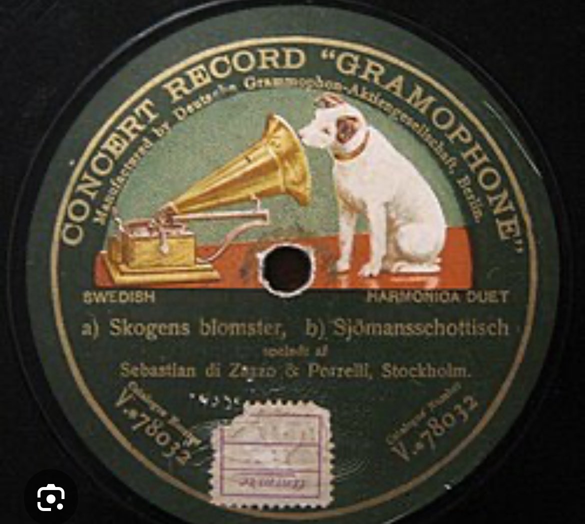Fast!😎🎼🐕