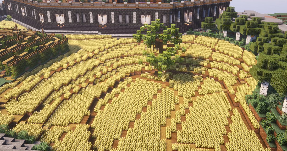 yuhimi_i's tweet image. #朱サバ #Minecraft 
小麦＆ホップ畑wip
このナナメラインが入った畑、手間かかりすぎる二度とやらん