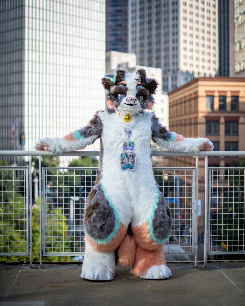 Hanksource๐TFF (@hanksource) on Twitter photo #FursuitFriday Baileys first photo i love my dumb goofy dawg
ty <a href="/yukonbarksalot/">Yukon ๐บ Arvo ๐ฆ</a> for the photos :3 #FursuitFriday Baileys first photo i love my dumb goofy dawg
ty <a href="/yukonbarksalot/">Yukon ๐บ Arvo ๐ฆ</a> for the photos :3