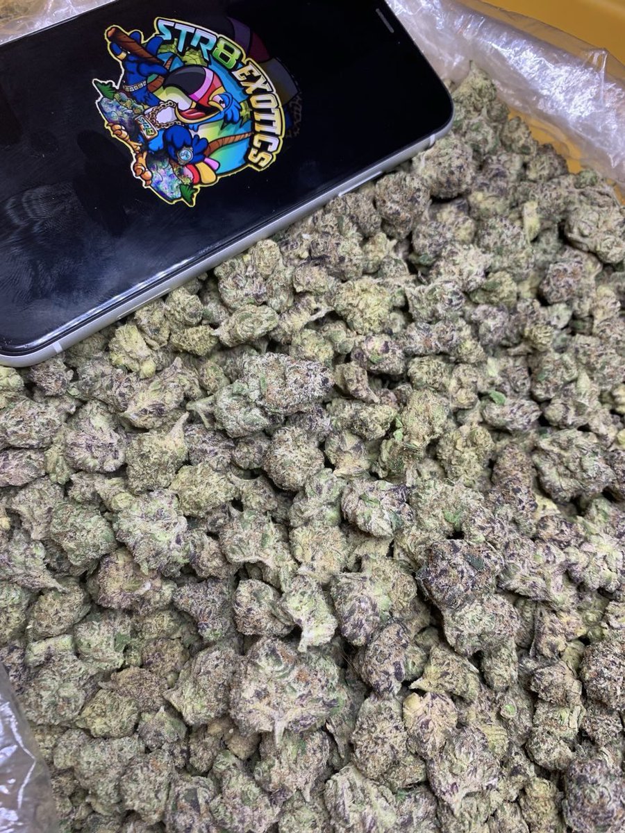 ExoticsStr8's tweet image. Cherry sprite(smalls c grade)-375
Dm for whole sale prices