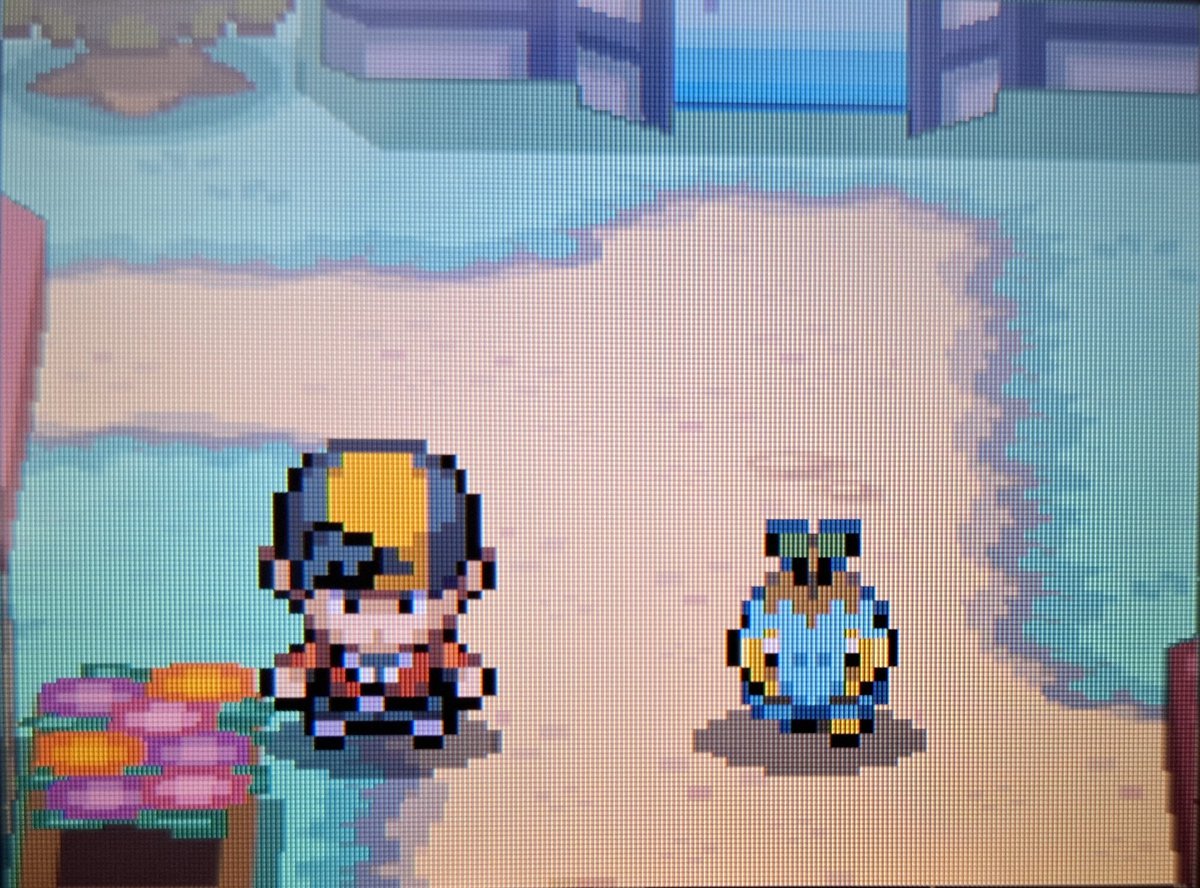 Shiny Turtwig in Platinum after 1,598 Soft Resets!!