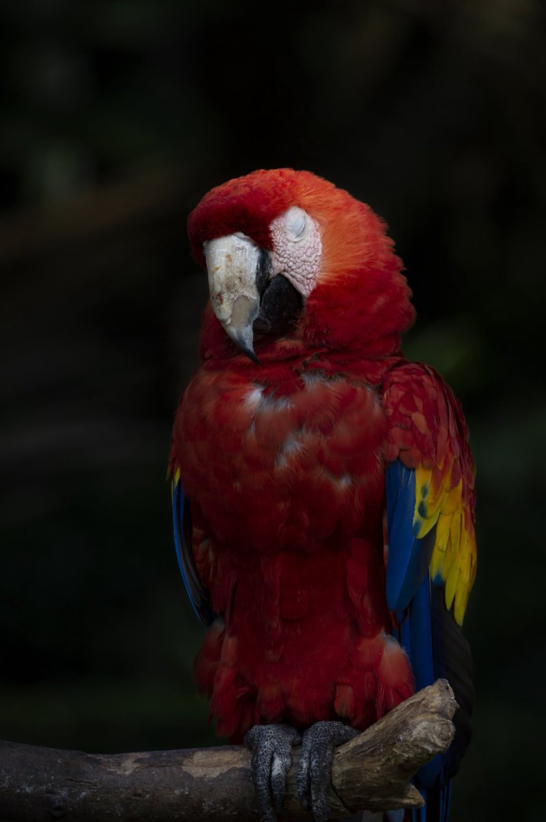 Luci Obregon tweet media