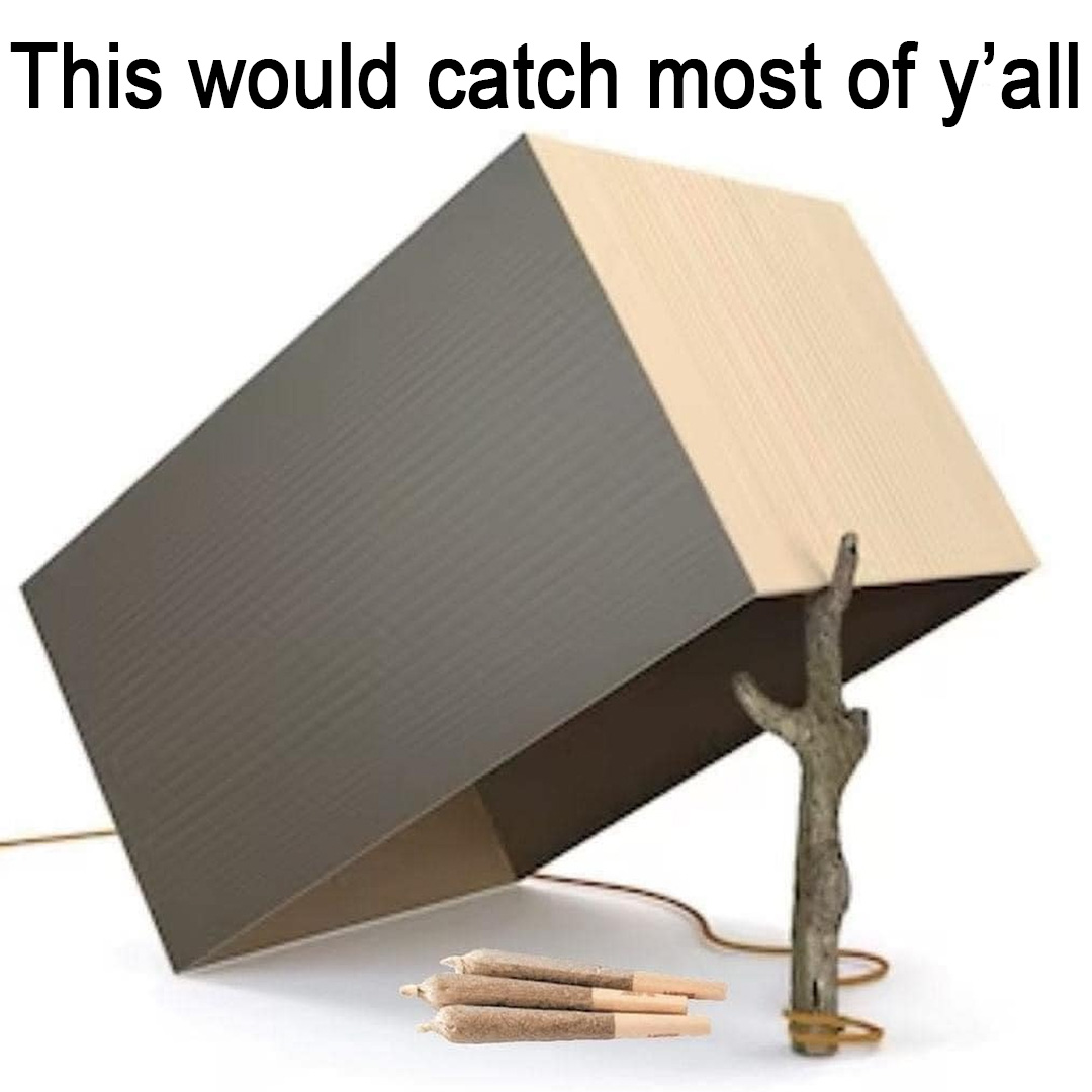 You know it's true, man ✌️ 🍃