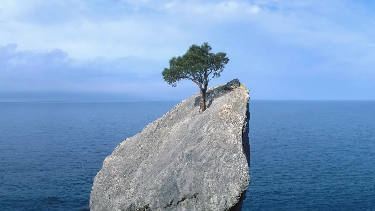 Weekend Read 📘
Resilience is the key to navigating disruption and emerging stronger. Discover how adaptability, mindset, and strategy play a role in "Find Greater Resilience By Avoiding These 3 Leadership Blind Spots" at <a href="/Forbes/">Forbes</a> &gt; bit.ly/3HeEu8W
#WeekendRead #Resilience