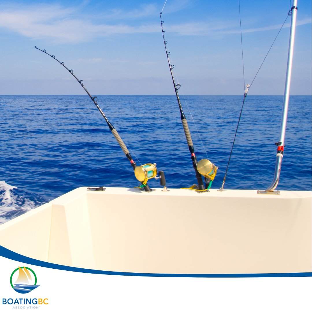 🎣 REEL IT IN! BC is home to some of the best salmon fishing in the world.
Hotspots this summer:
🔥 Campbell River
🔥 Barkley Sound
🔥 Haida Gwaii
Bring your gear, know your limits, and respect the tides.