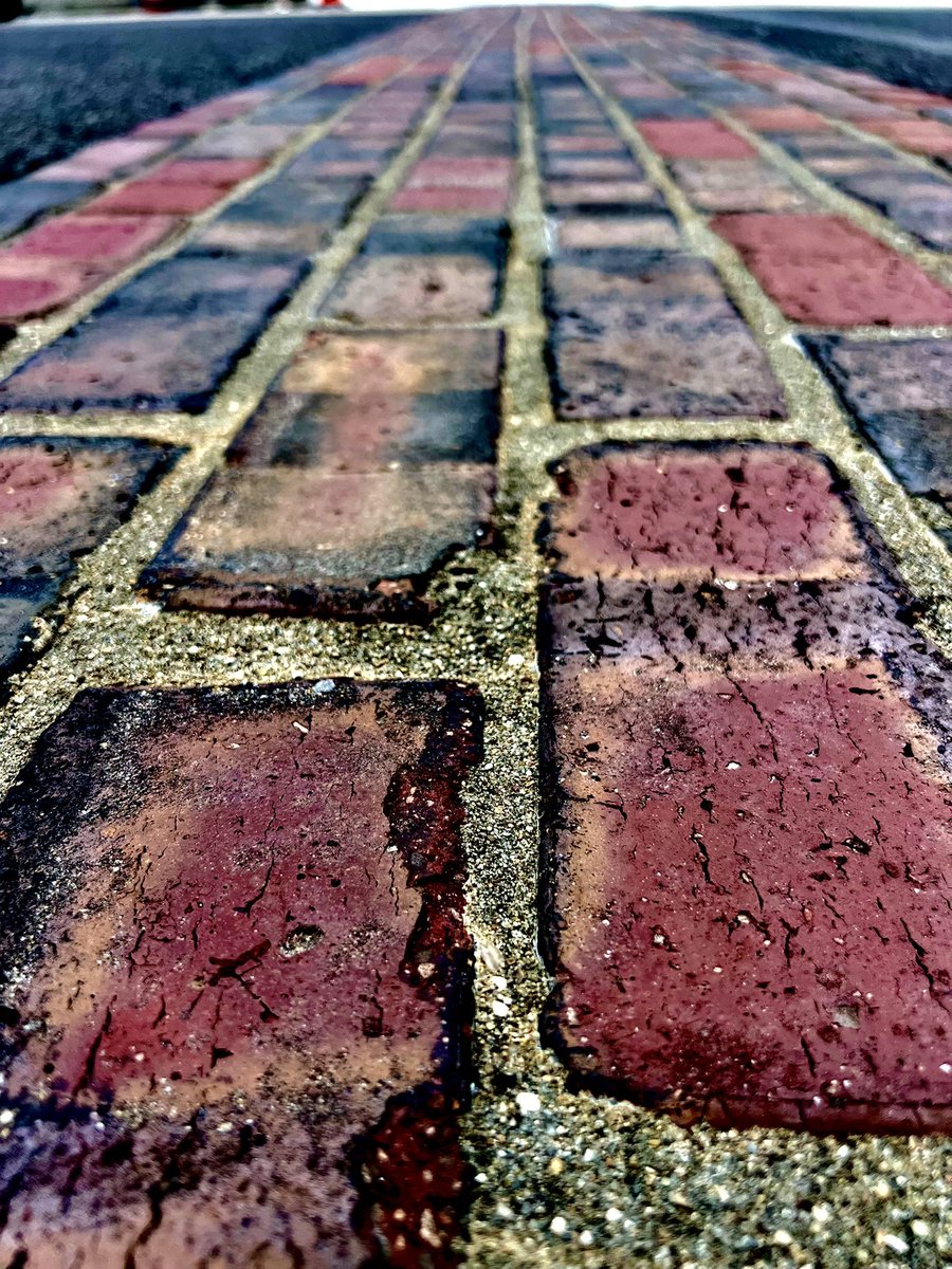 RickWareRacing's tweet image. The #Brickyard400 at @IMS is upon us. Practice for Sunday’s crown-jewel race begins TODAY at 1pm EDT on @TruTV. The @Arbys Ford Mustang is ready to gallop on these bricks.