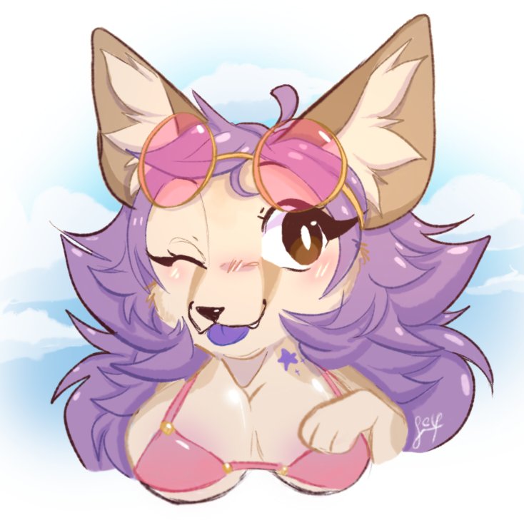 Gaia 🌅 tweet media